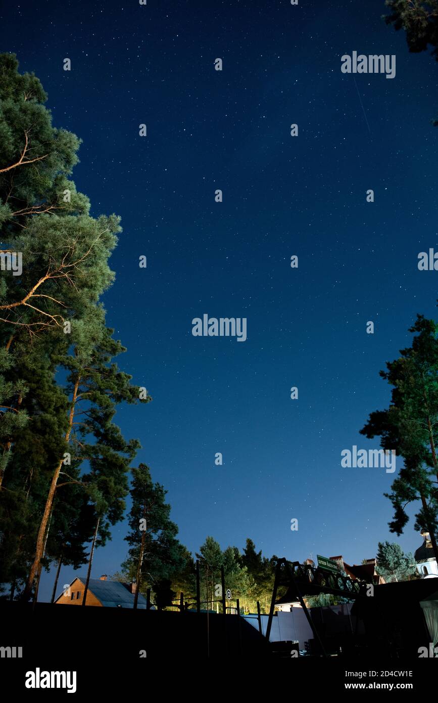 Low angle view of starry night sky and trees outdoors Stock Photo