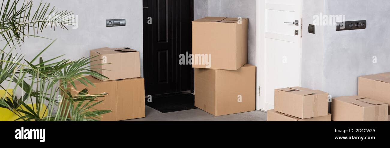 panoramic crop of carton boxes near plant in new home, moving concept Stock Photo