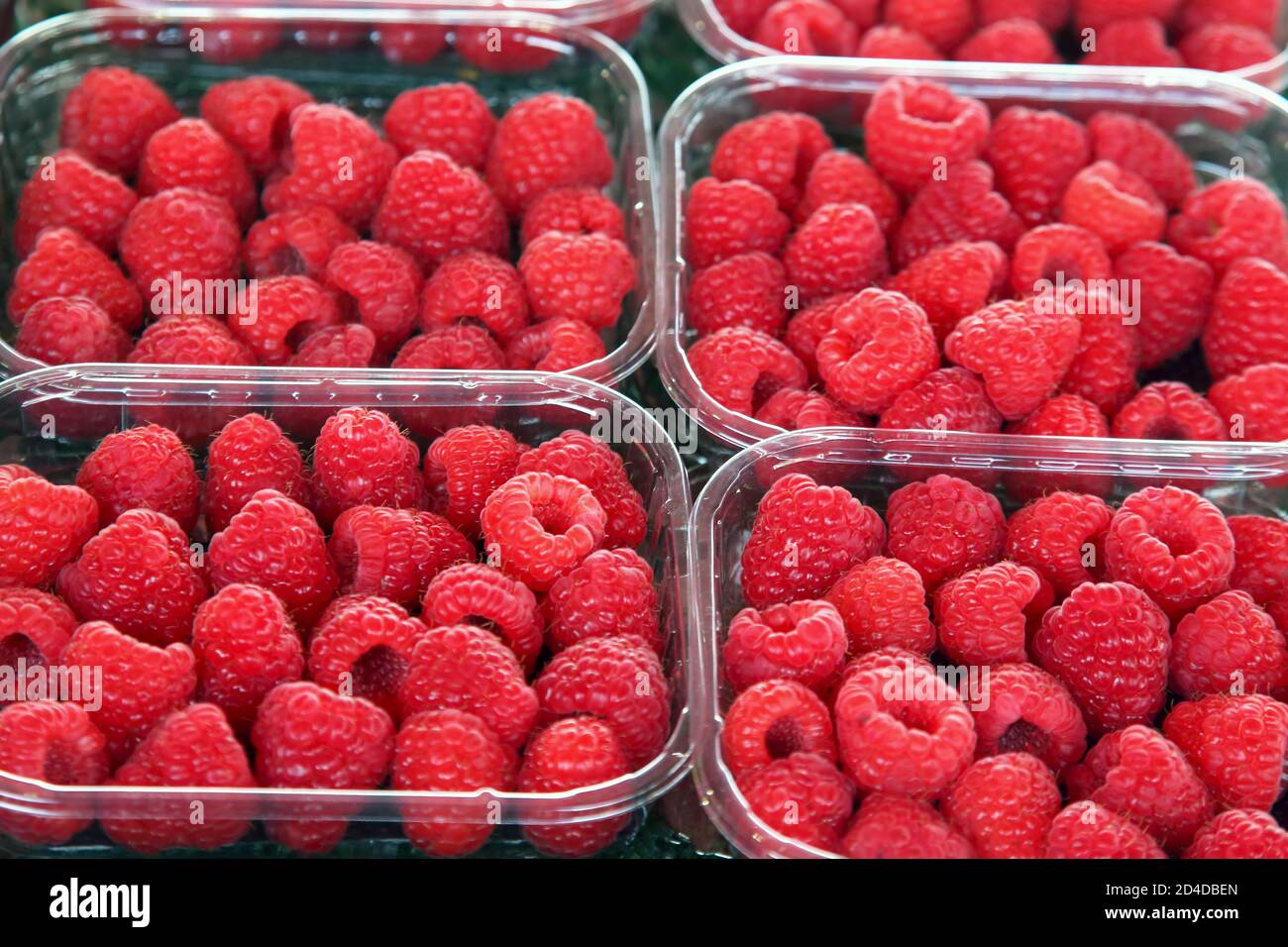 raspberry berry in containers on sale Stock Photo Alamy
