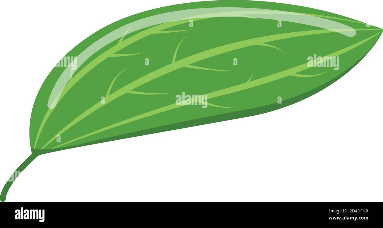 Cinnamon leaf icon, isometric style Stock Vector