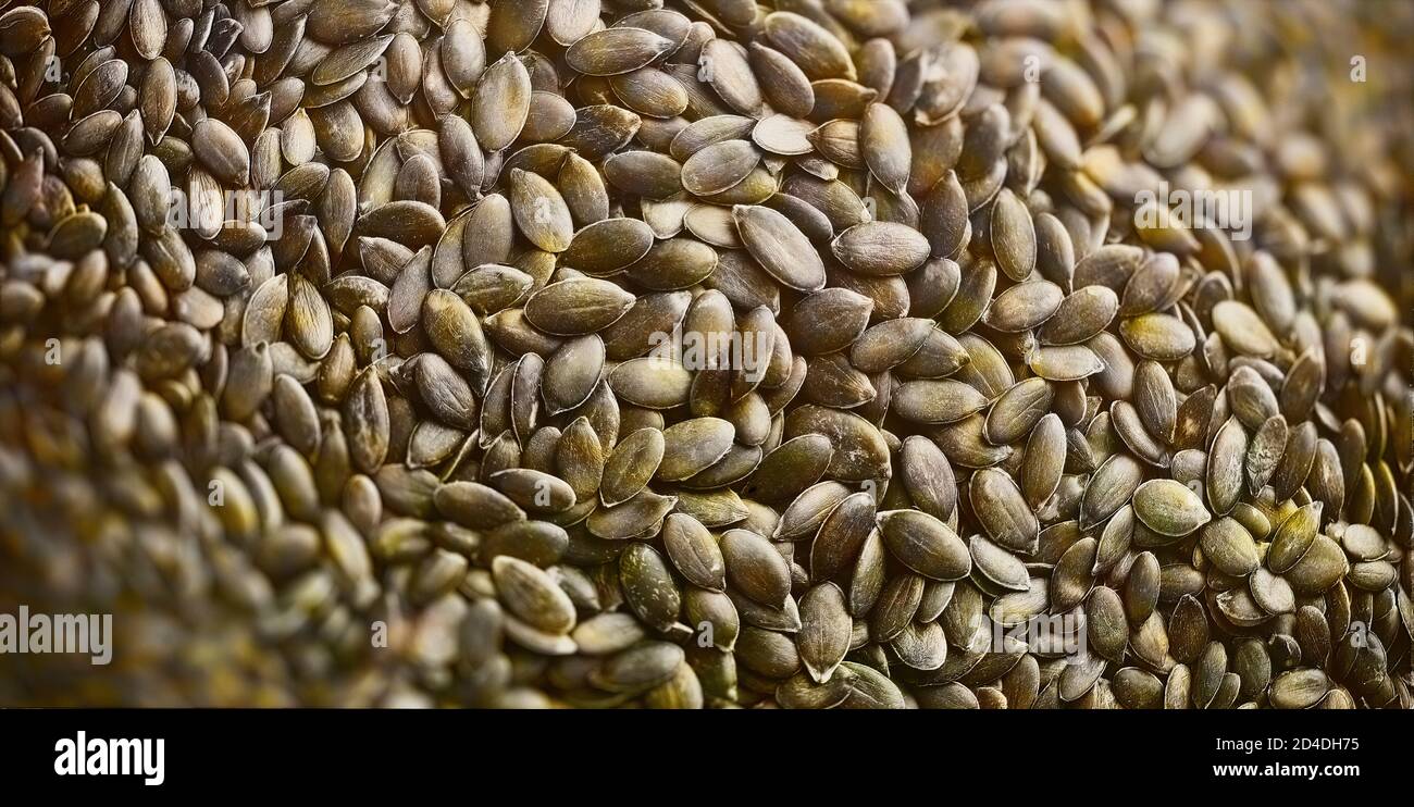 photograph of Pumpkin seeds with shallow depth of focus Stock Photo