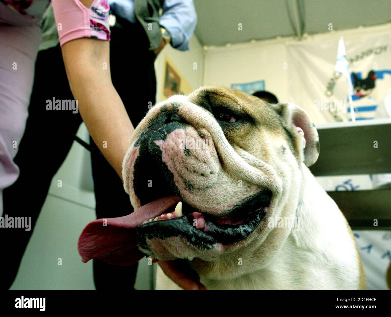 Various municipal and private initiatives took place in different parts of Athens, Greece, during the World Animal Day October 4 and October 5, 2003. The events were aimed at raising public awareness Various municipal and private initiatives took place in different parts of Athens, Greece, during the World Animal Day October 4 and October 5, 2003. The events were aimed at raising public awareness