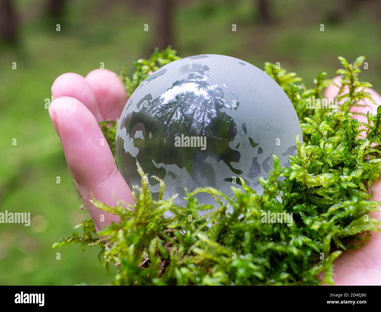 Glass globe in hand with moss environmental protection Stock Photo