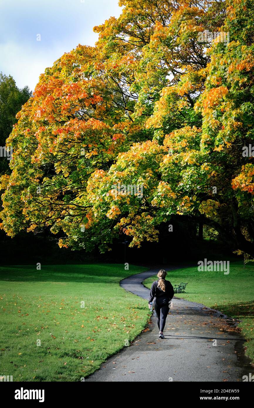 Walking along a park hi-res stock photography and images - Alamy