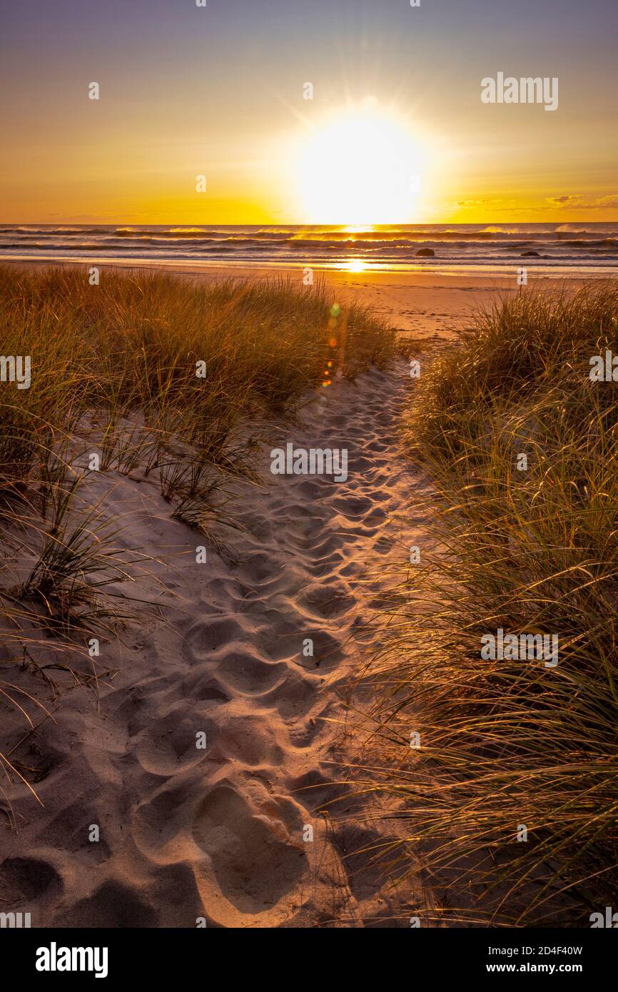 Sunrise with foot path and sand dune grass, Narragansett beach, Rhode Island USA Stock Photo