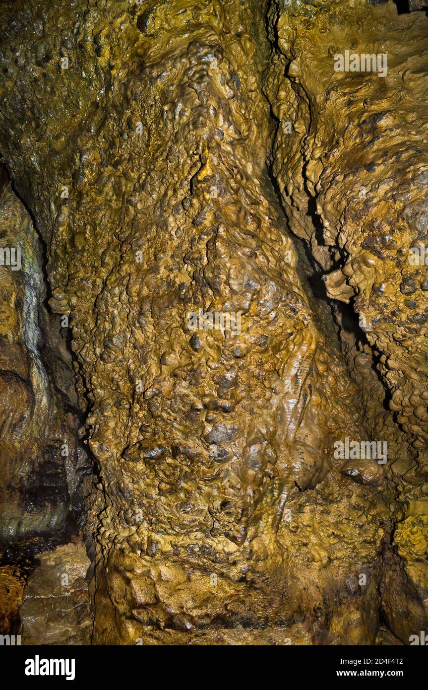 Fossils of brachiopods (Productus giganteus - ancient oysters) in the walls and roof of Carlswark Cavern in Stoney Middleton, Derbyshire. Stock Photo