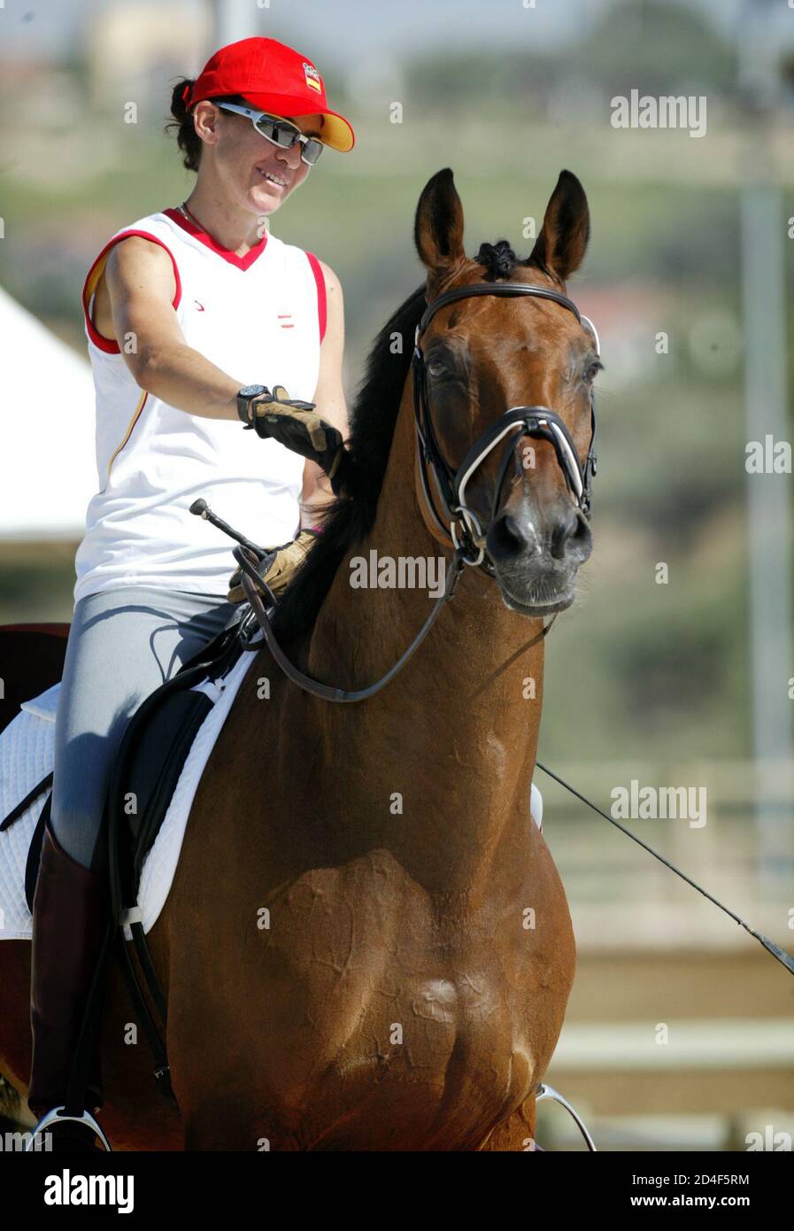 Beatriz ferrer salat hires stock photography and images Alamy