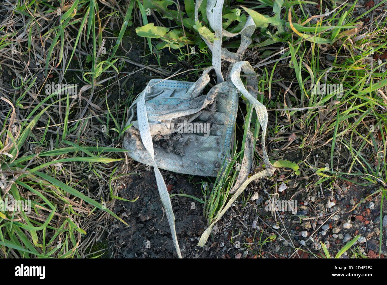 Disposable face mask littering grass verge. Germany Stock Photo