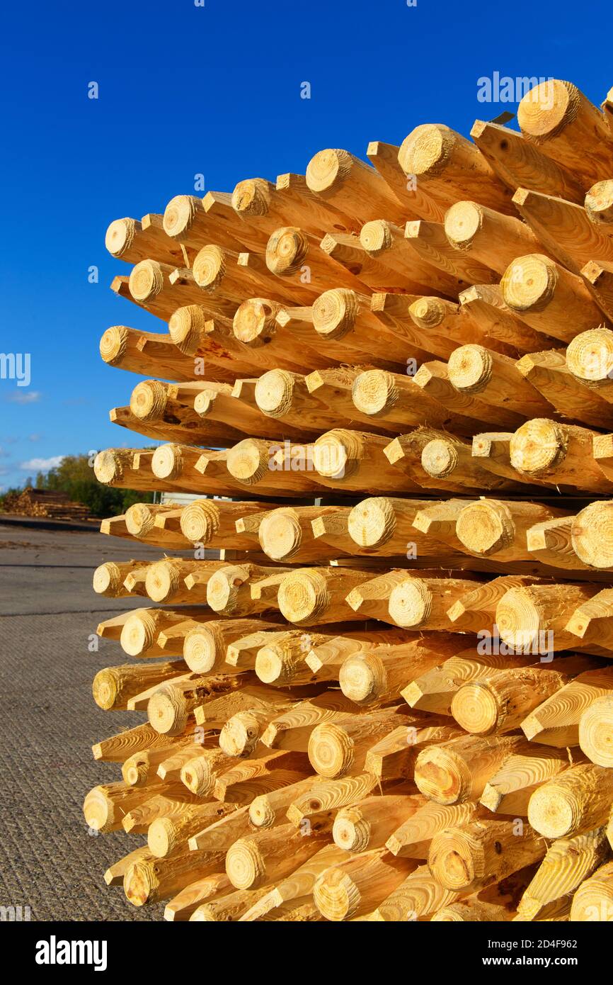 Pile of wooden posts hi-res stock photography and images - Alamy