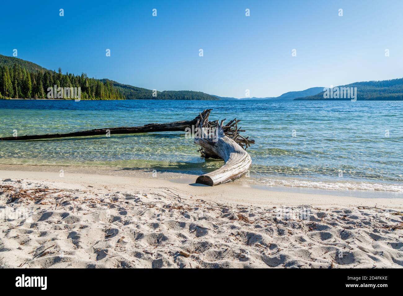 Priest lake state park hires stock photography and images Alamy