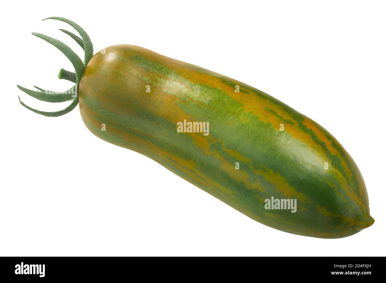 Green sausage heirloom tomato (Solanum lycopersicum fruit) isolated Stock Photo