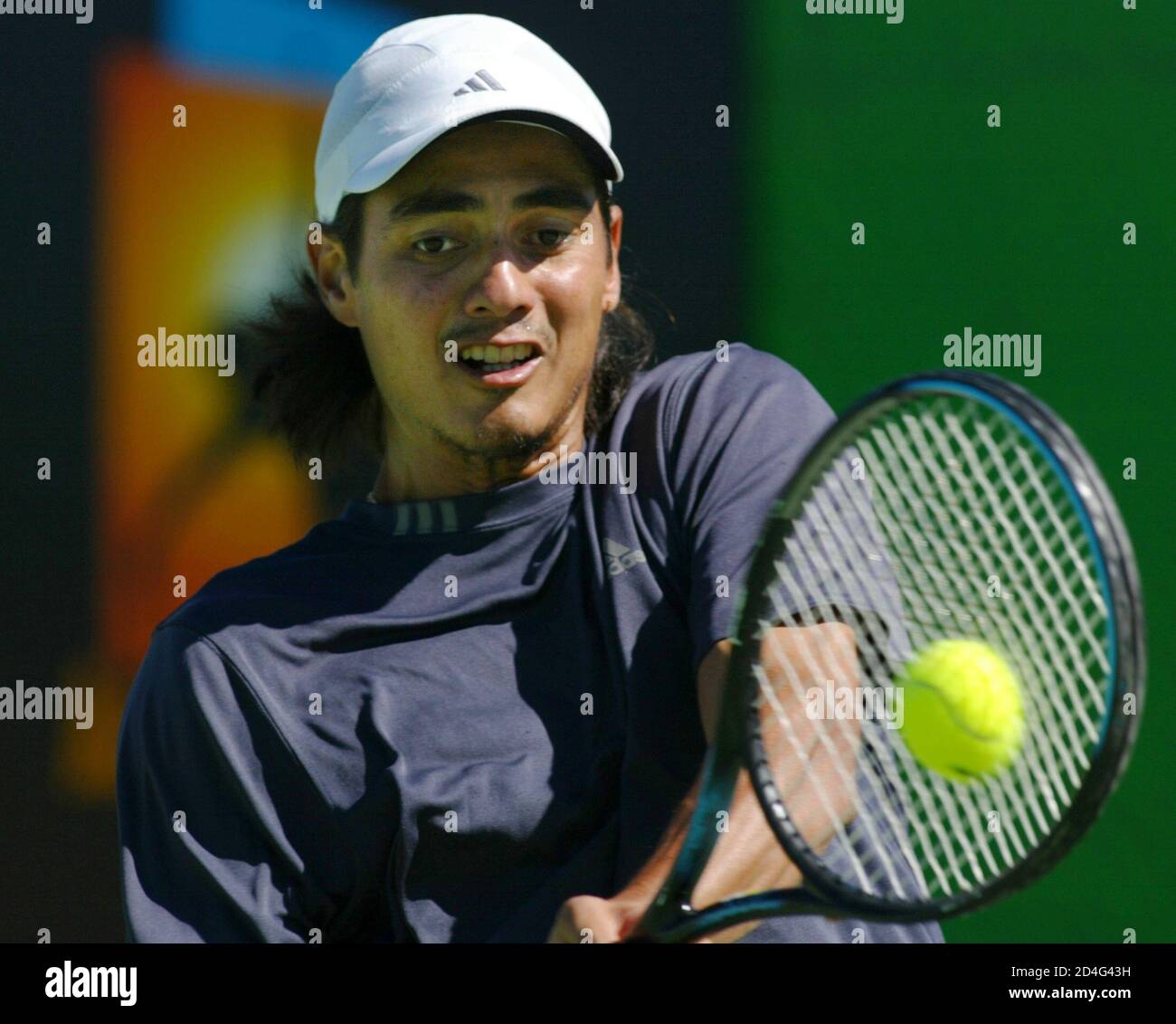 Ecuador's Nicolas Lapentti returns a shot to Spain's Oscar Hernandez during  their first round match at the Australian Open tennis championship in  Melbourne January 19, 2004. REUTERS/David Gray CP/PB Stock Photo -