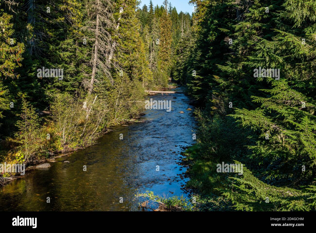 North Fork Granite Creek Near Nordman, Idaho. Stock Photo