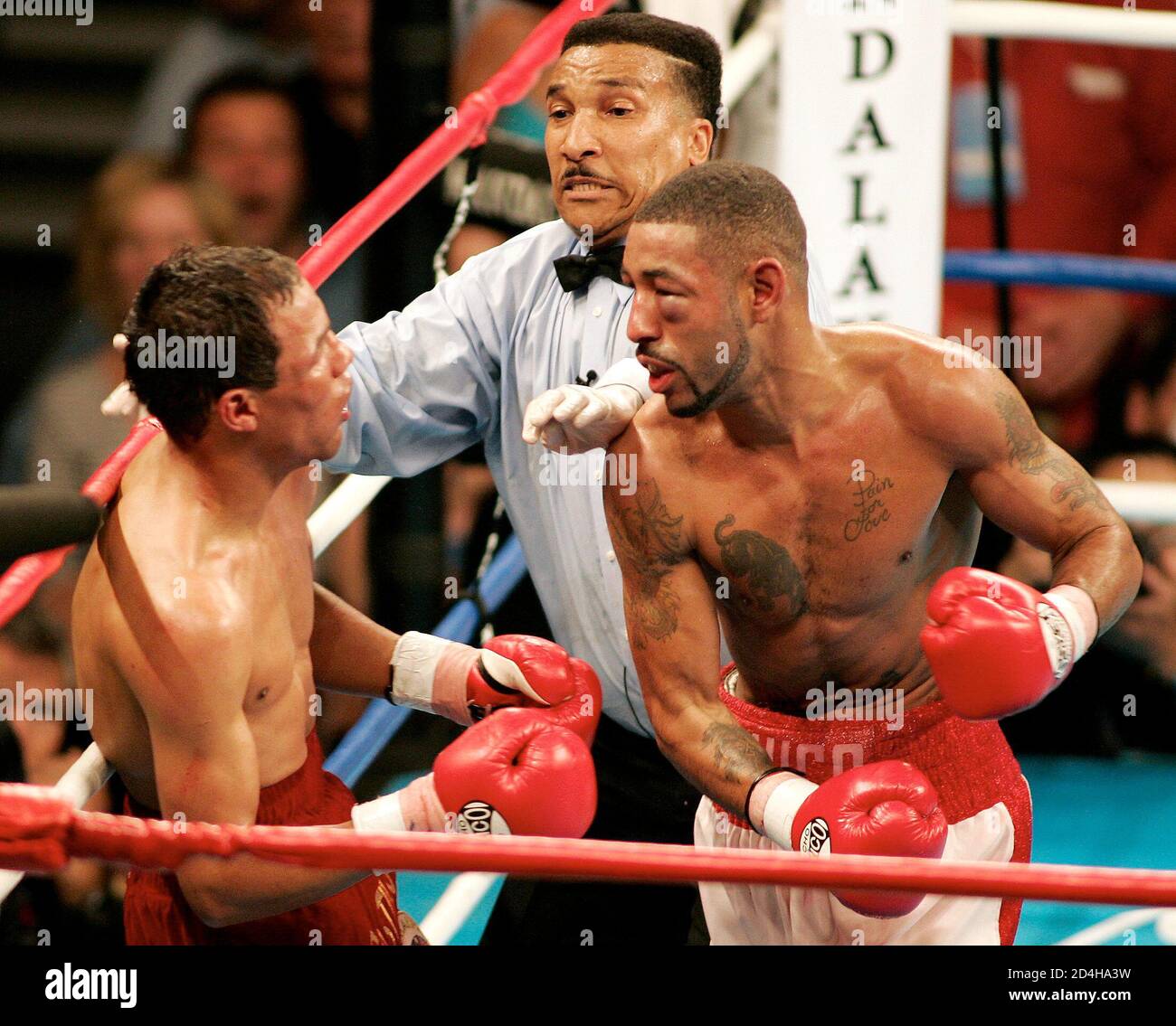 Referee Tony Weeks (C) rushes in to stop the fight between Diego Corrales  of Sacramento, California (R), and Jose Luis Castillo of Sonora, Mexico, in  the 10th-round of their lightweight championship bout