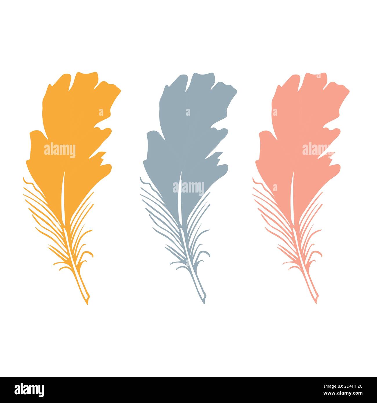 Colorful detailed bird feathers set. Hand drawn editable elements ...