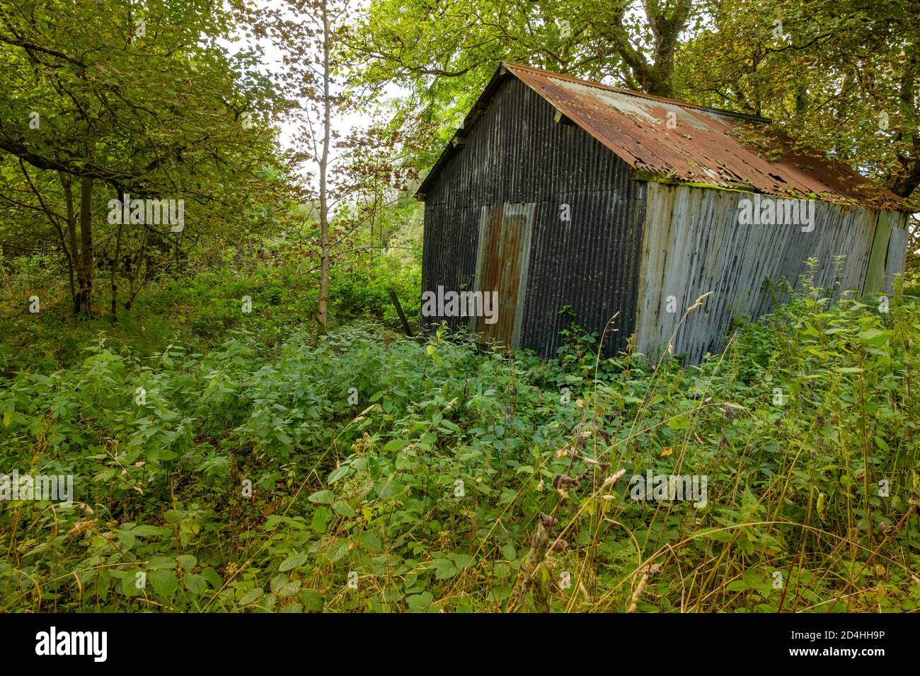 A shed in Lewis Castle Grounds. Stock Photo