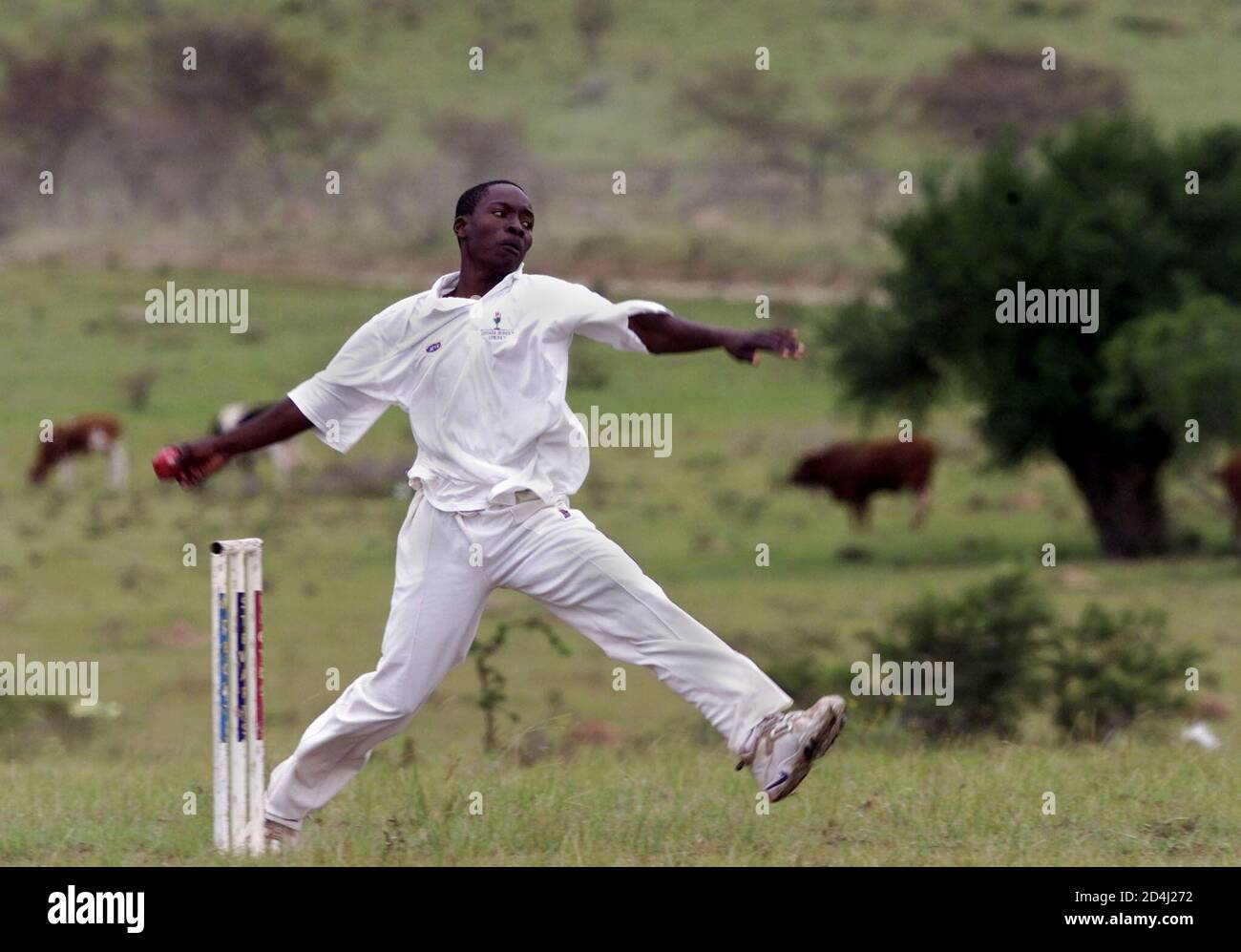 sport cricket 1920s high resolution stock photography and images alamy