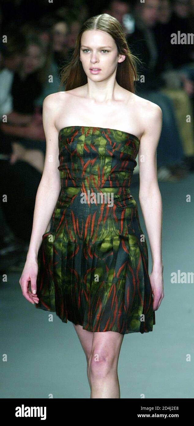 A model wears a strapless print dress at the Calvin Klein Fall 2003  Collection show in New York, February 14, 2003 Stock Photo - Alamy