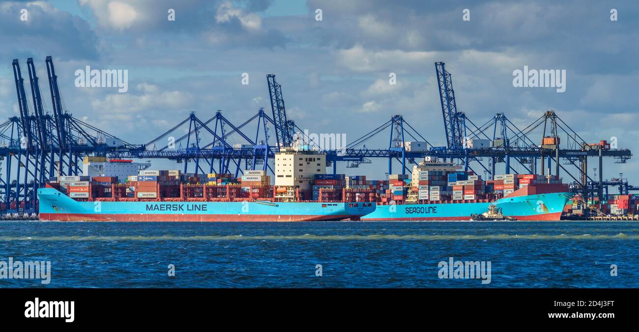 Maersk Line and Seago line container ships at Felixstowe Port, Maersk Line and Seago Line (Sealand) are both parts of the A.P. Moller — Maersk Group. Stock Photo