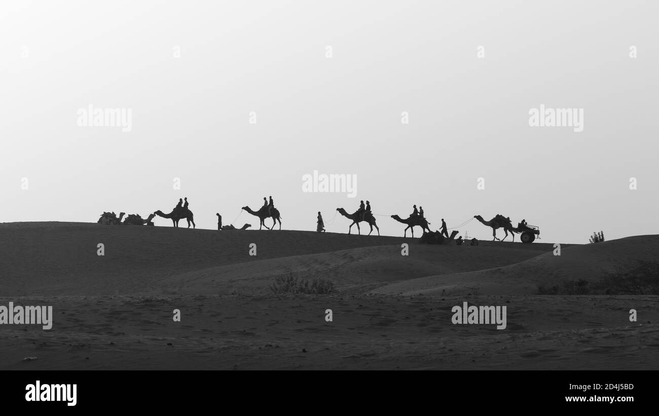 A selective focus Silhouette of a line of camels walking on Sam sand dunes with people siting on them Stock Photo