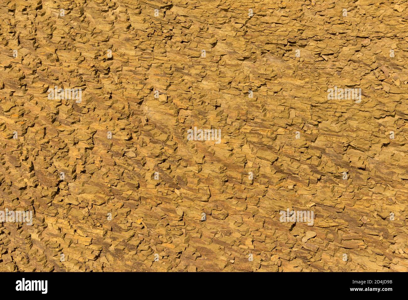Spongy sandstone hi-res stock photography and images - Alamy
