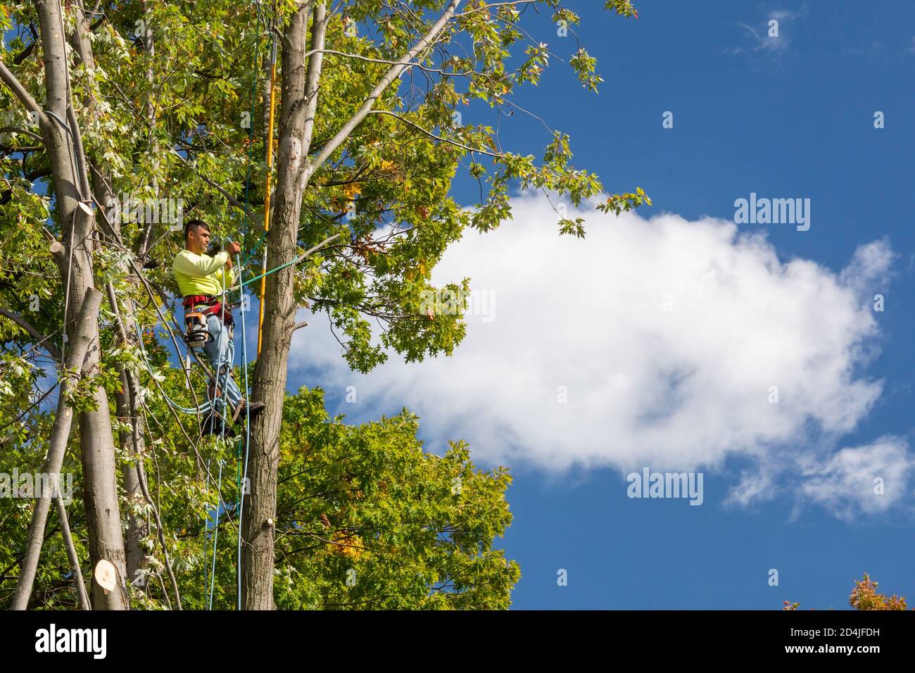 Detroit, Michigan - Tree removal in a residential neighborhood. Stock Photo
