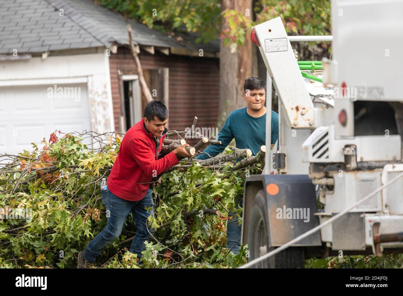 Detroit, Michigan Tree removal in a residential neighborhood. Workers