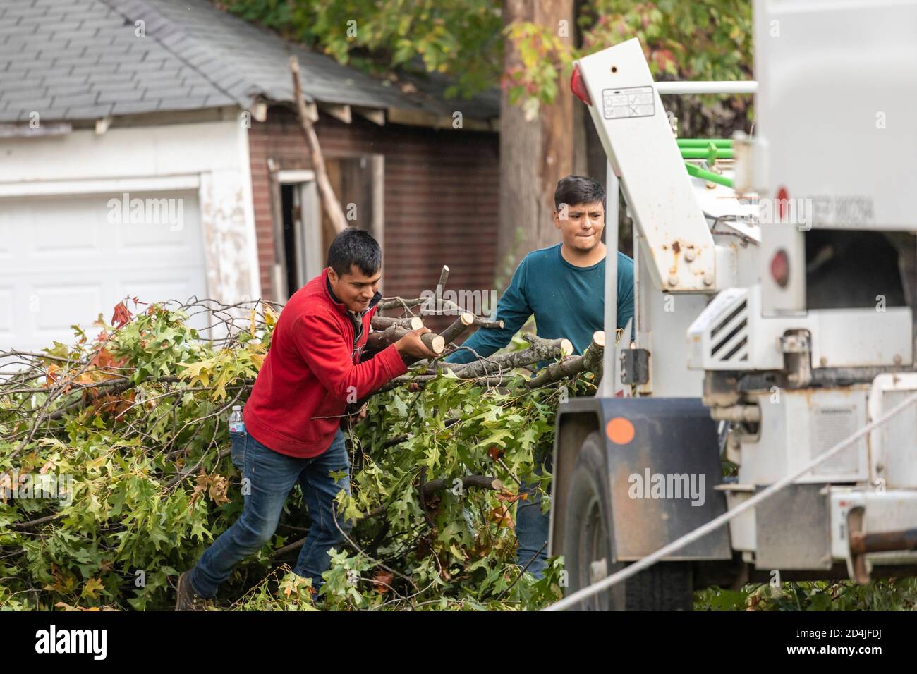 Detroit, Michigan - Tree removal in a residential neighborhood. Workers move cut branches into a tree chipper. Stock Photo