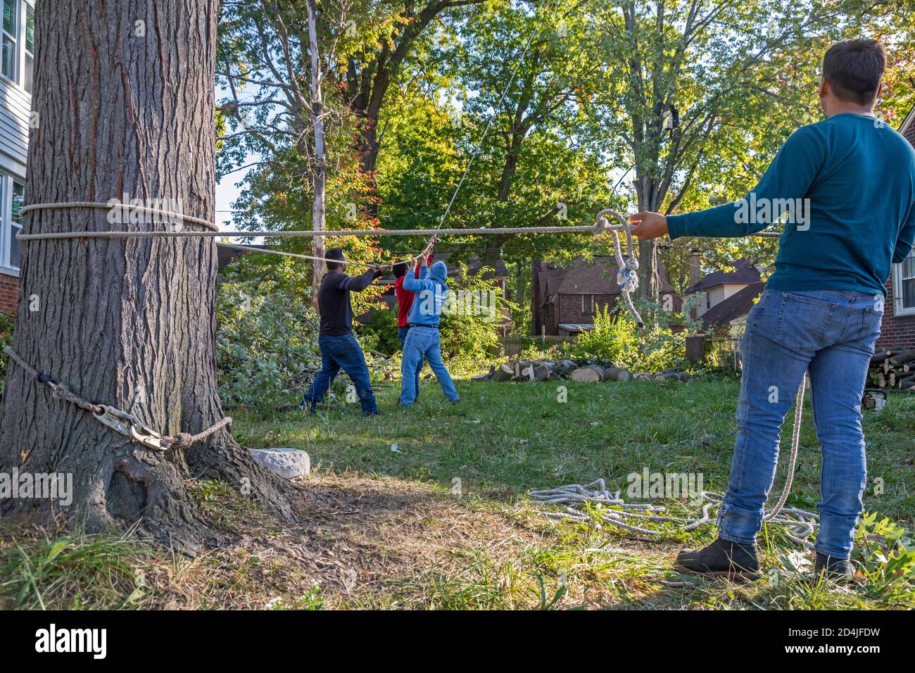 Detroit, Michigan - Tree removal in a residential neighborhood. The ground crew steers a falling branch into an open area. Stock Photo