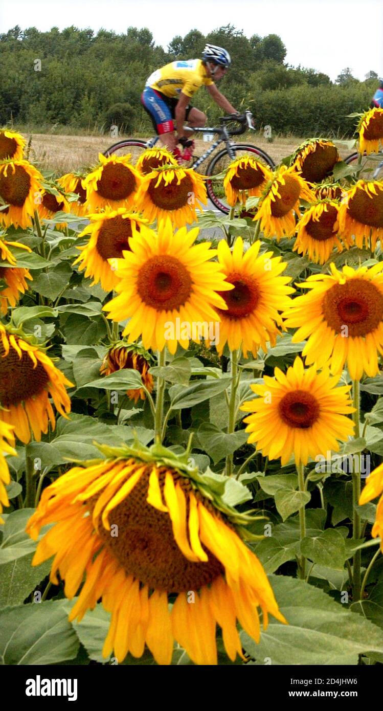 Maixent High Resolution Stock Photography And Images Alamy