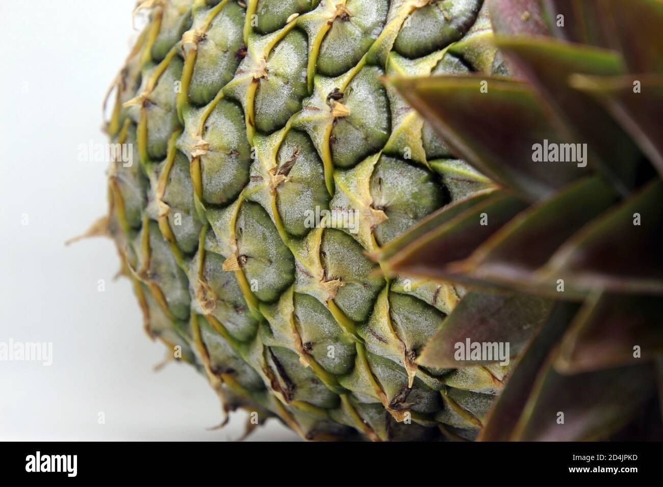 Close-up of pineapples, you can clearly see the bark and green shoots. Stock Photo