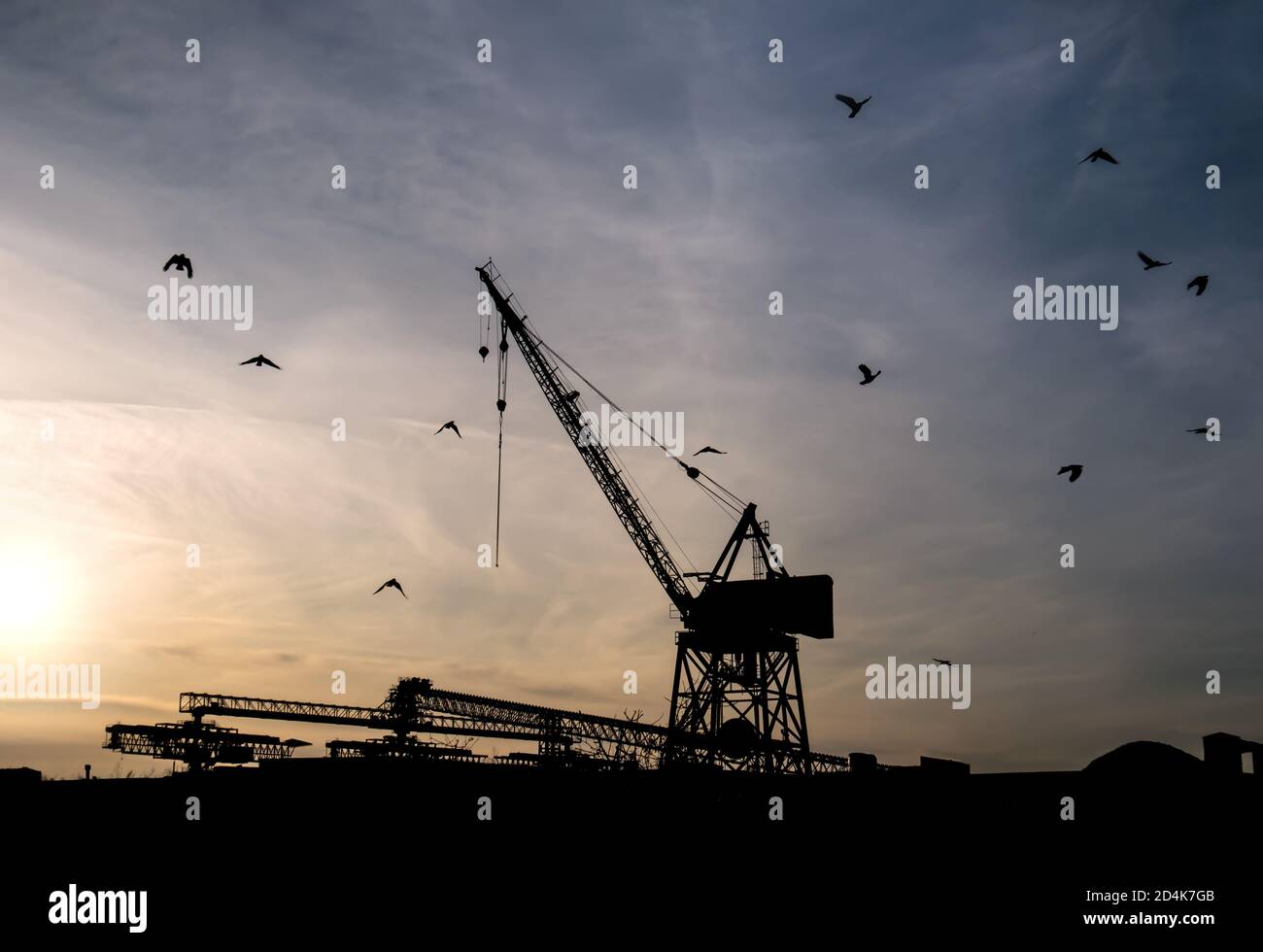 Industrial crane and buildings silhouetted at sunset. Many birds in the sky. Location: Sea to sky trail, North Vancouver, BC, Canada Stock Photo