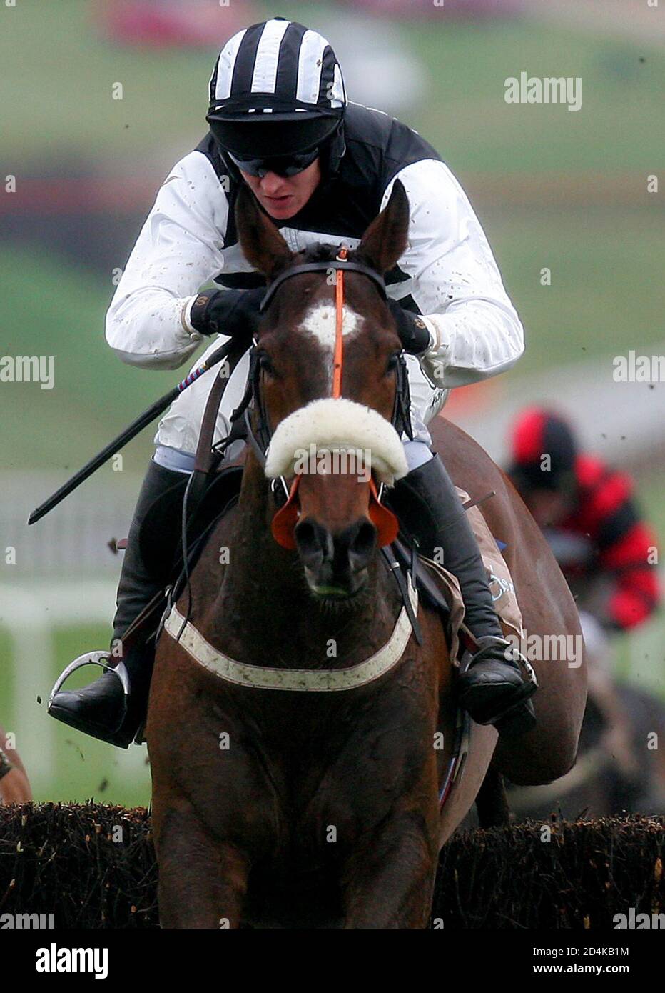 Horse racing national hunt steeplechase cheltenham hires stock