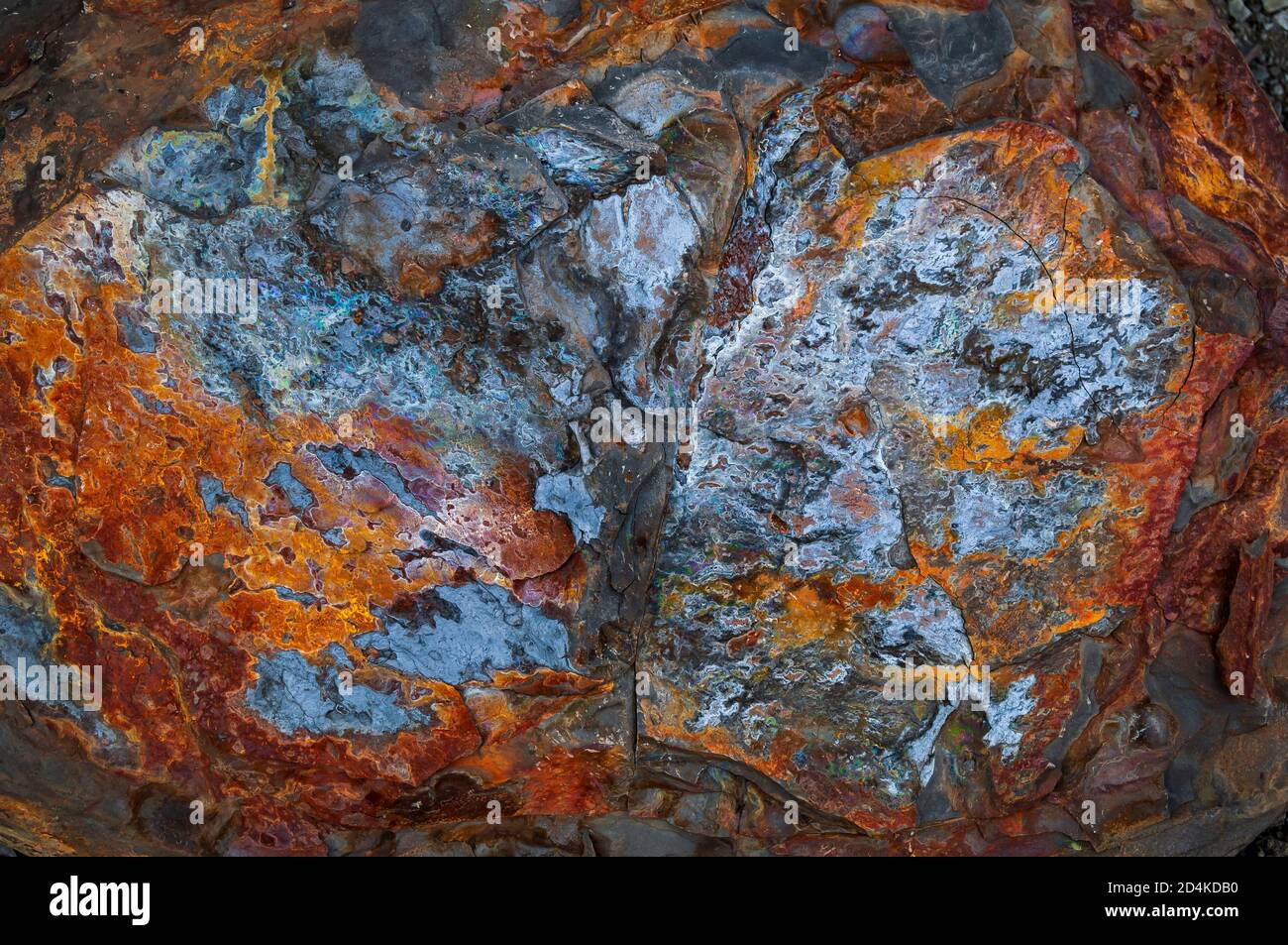 Spectacular patterns caused by mineral deposition on a block of shale in an abandoned quarry in South Yorkshire Stock Photo