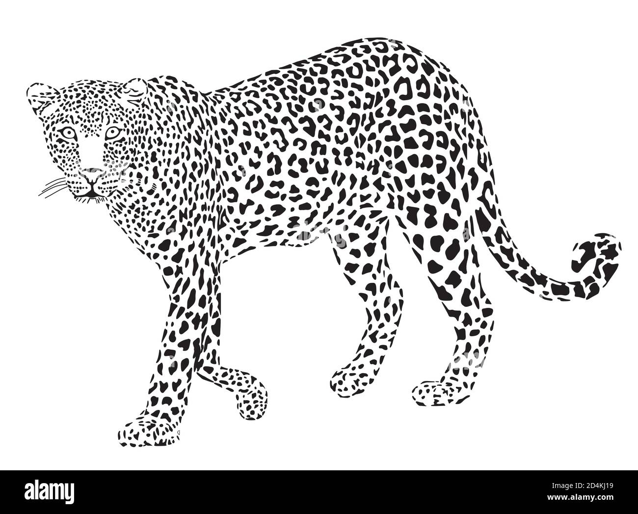 Leopard black on white, isolated - vector illustration Stock Vector