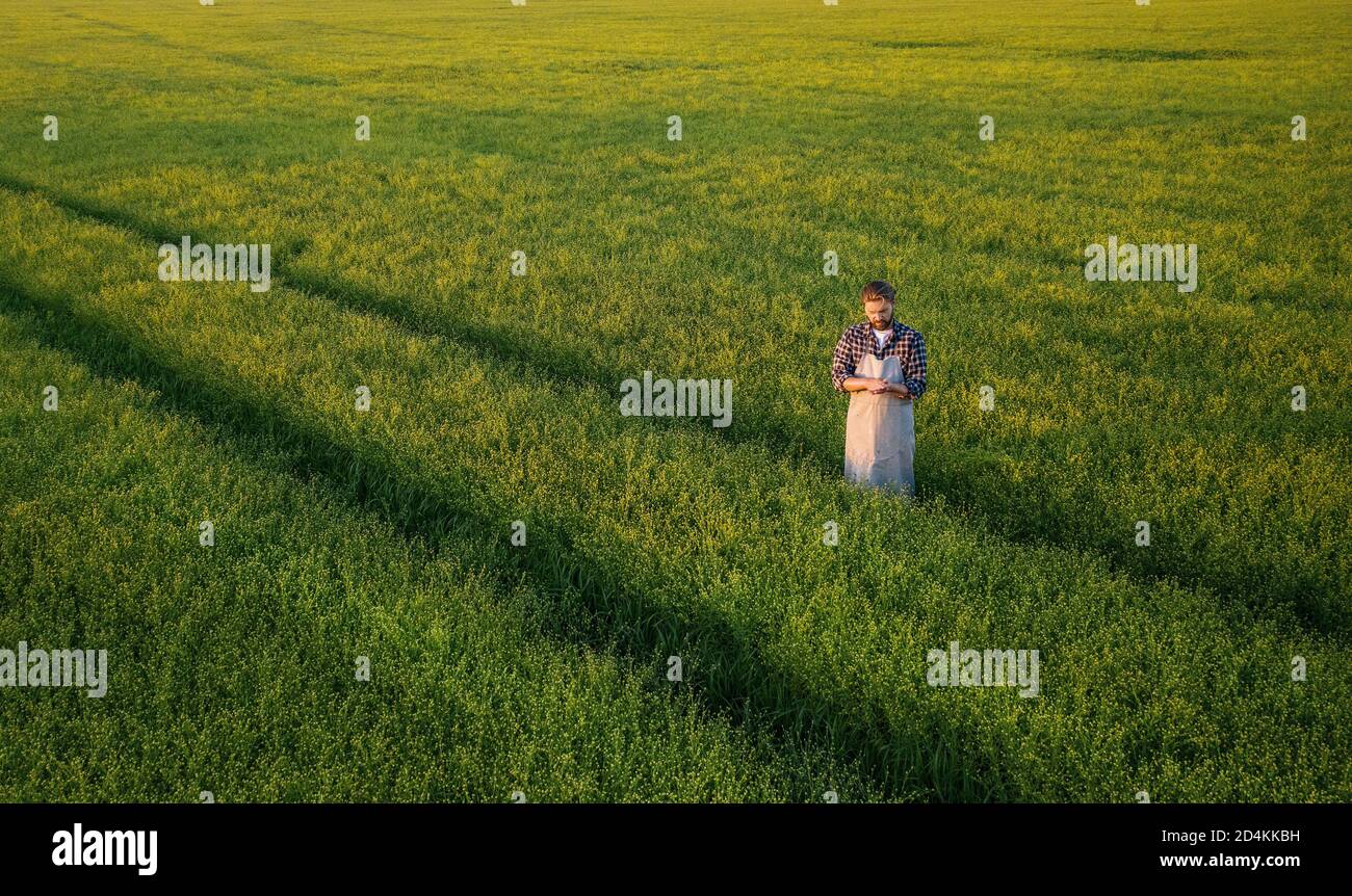 Technician standing in green field Stock Photo