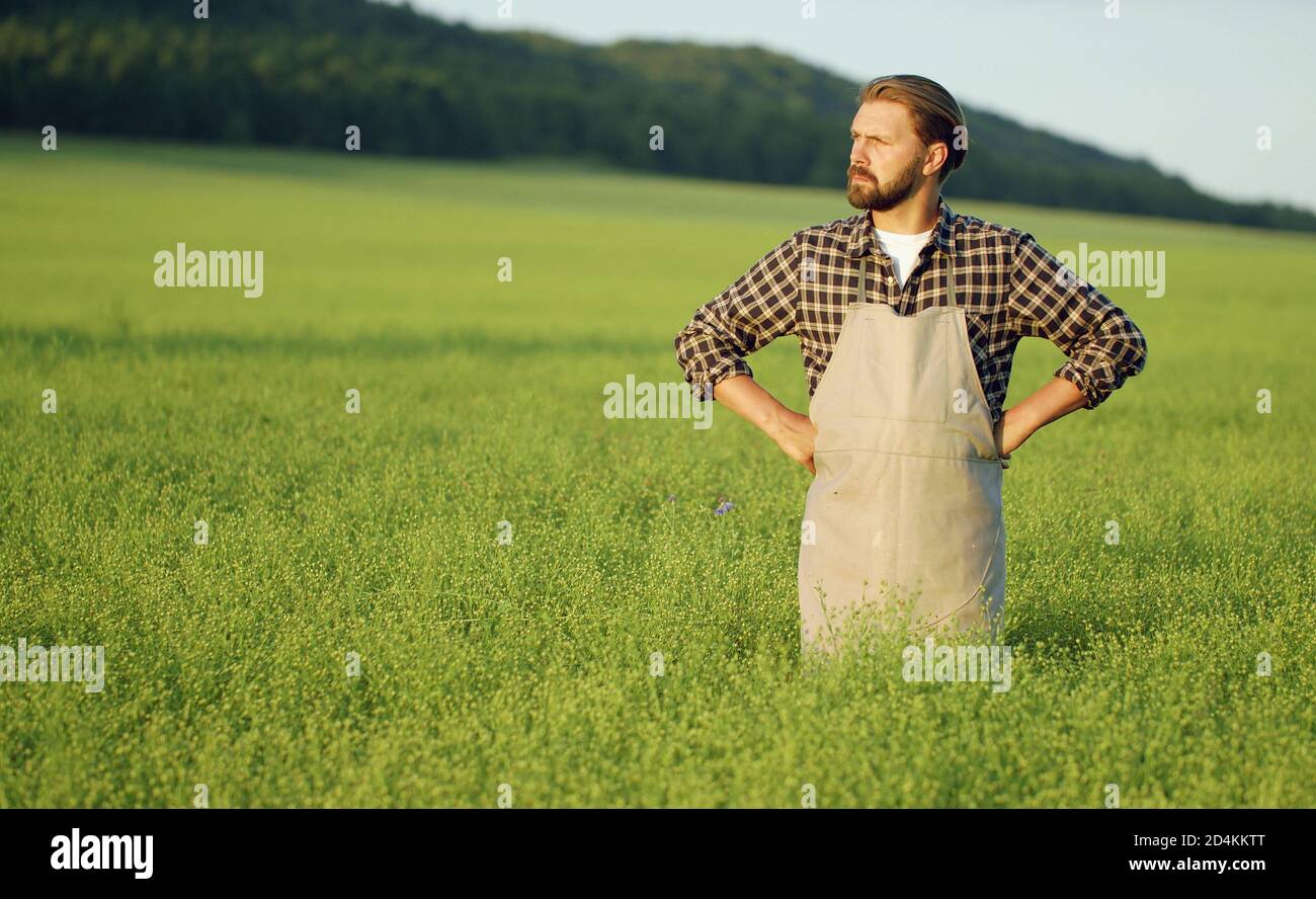 Agriculturist standing among green field Stock Photo