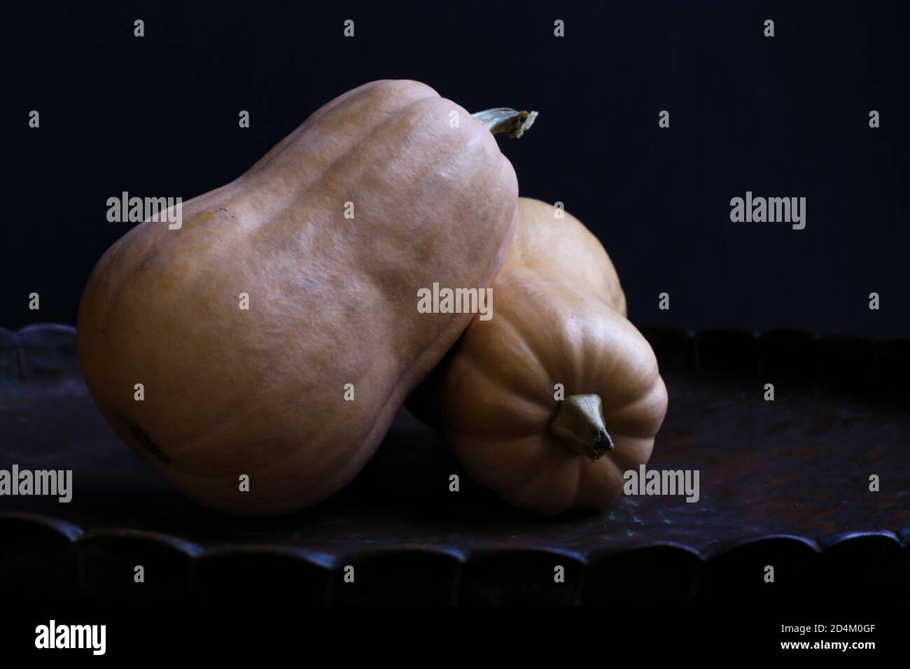 Pumpkins. Two orange long pumpkins on dark background. Stock Photo