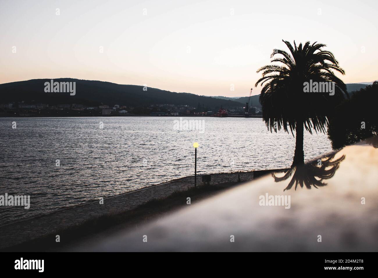 palm tree in the sea at sunrise seen from a balcony Stock Photo - Alamy