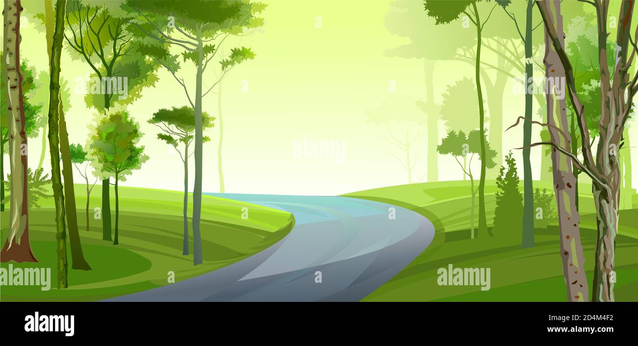 Road in the forest landscape. . Beautiful view, green deciduous trees, shrubs, thickets. Spring, summer day. Background image. Stock Photo