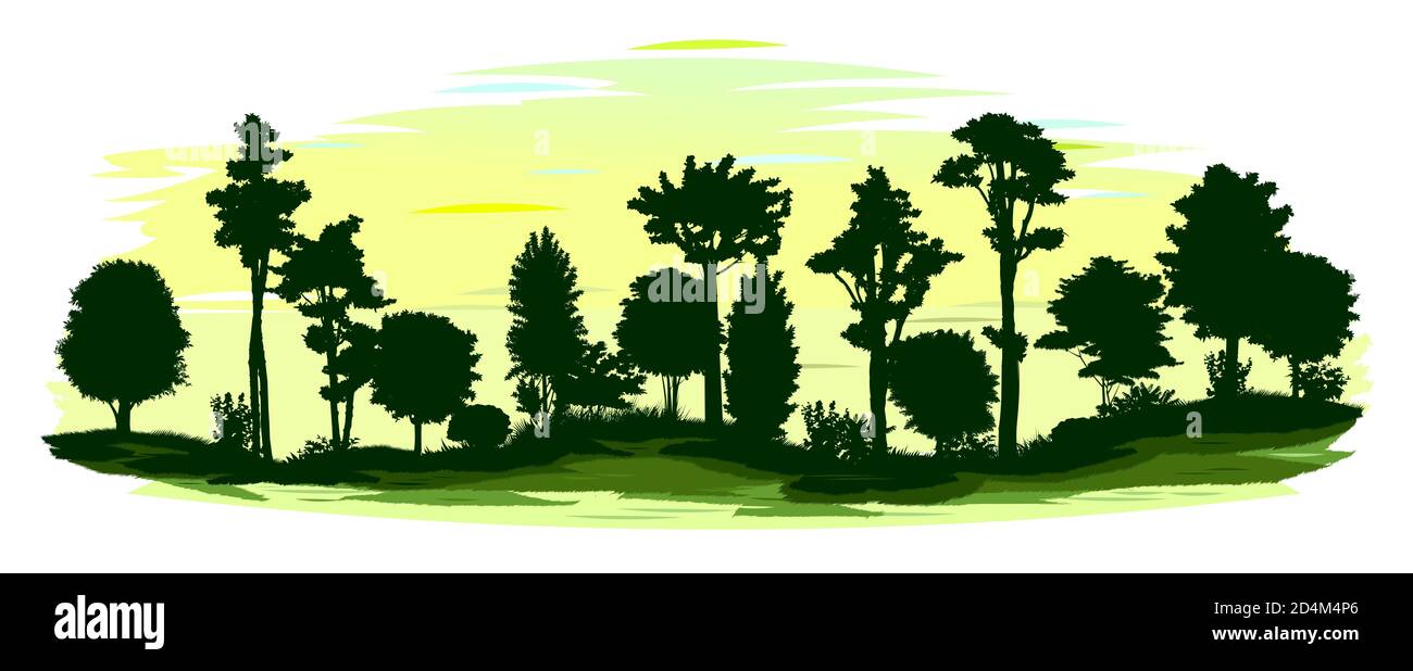 Deciduous forest silhouette. Vector. Summer landscape Jungle. Panoramic view. Green scenic. Foliage illustration. Stock Photo