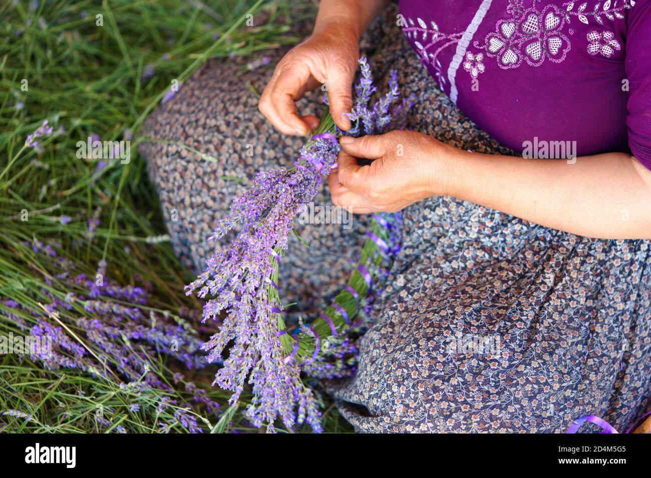 Girl rope back yard hi-res stock photography and images - Alamy