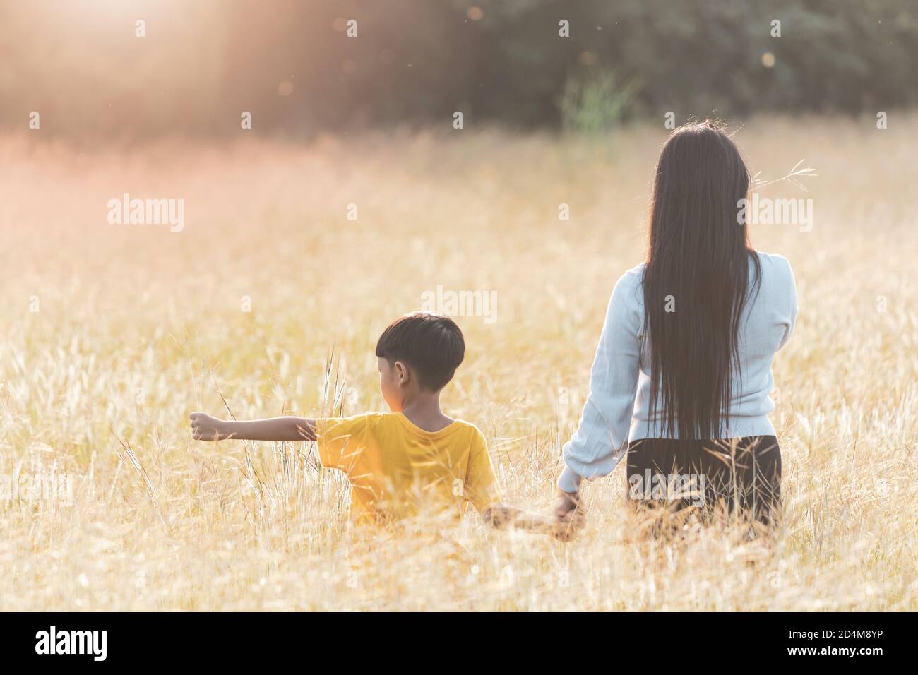 Happy family mom holding hand her son in the meadow. Asian young mother and her little child walking at sunset. Soft focus family concept. Stock Photo