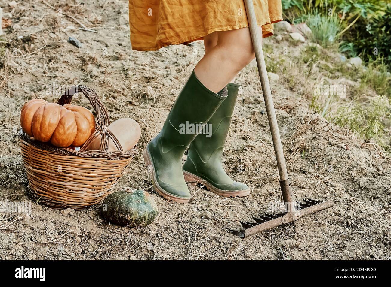 Woman dressed in linen dress and rubber boots work in the garden