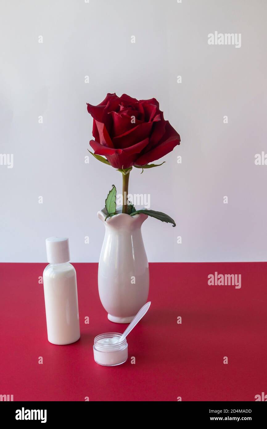 Face and body care products in white bottle and can without brand on table. Red rose in white vase, color contrast. The concept of cosmetology, spa Stock Photo