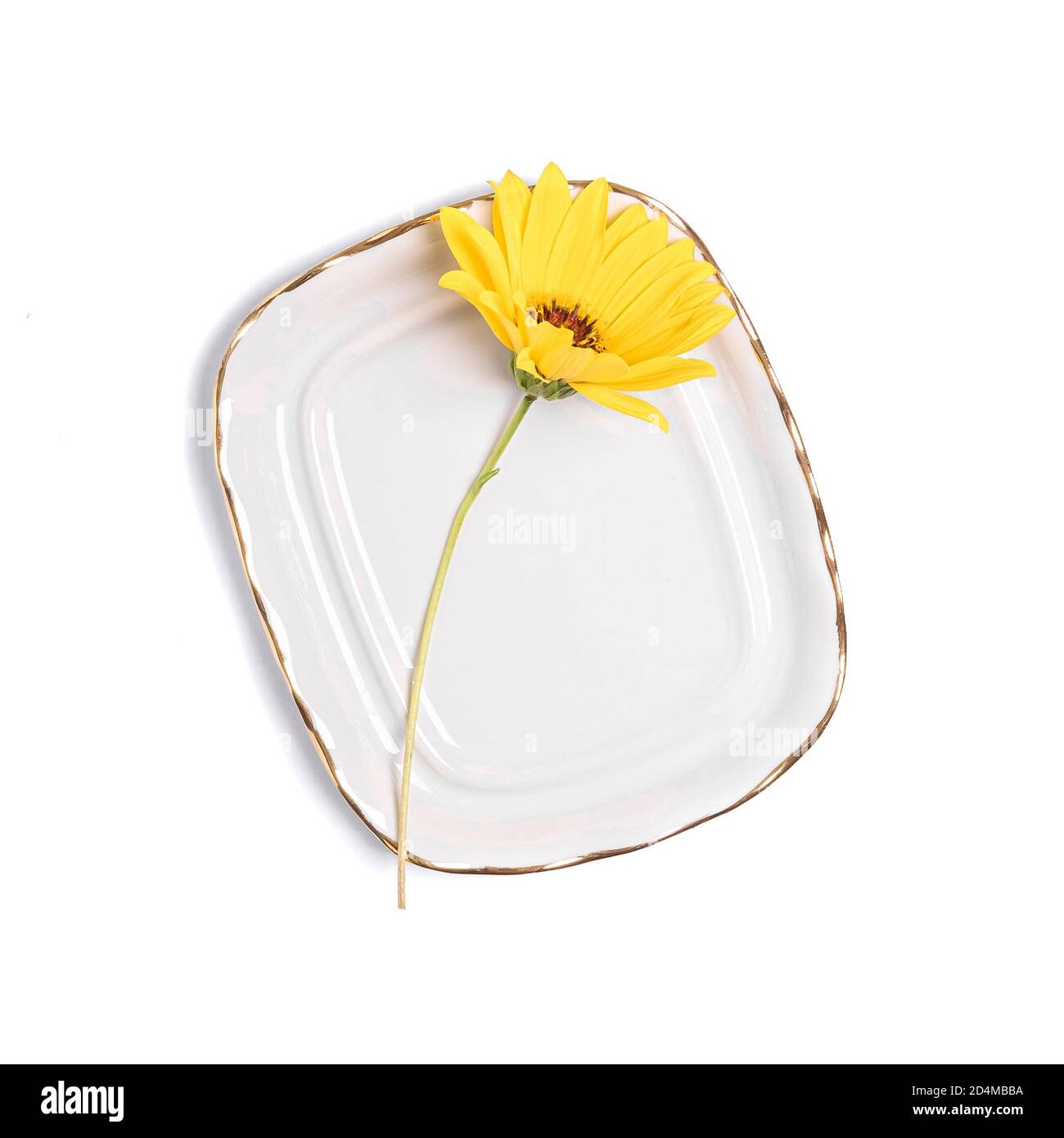 Single yellow daisy flower on ceramic vintage plate, top view, isolated Stock Photo