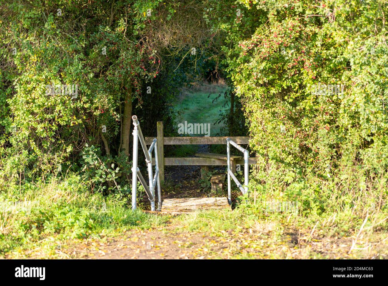 Cherry Orchard Way public footpath 5 in Rochford, Southend, Essex, UK. Upgraded steps and handrails. Stile at fence Stock Photo