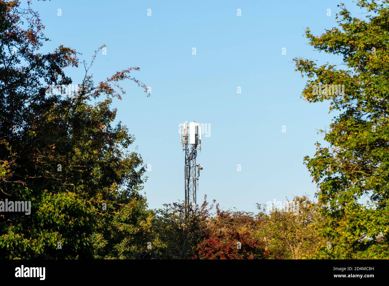 Telecommunications mast in a rural location. Mobile phone mast in Hawkwell, Rochford, Essex, UK. Tower framed by trees Stock Photo