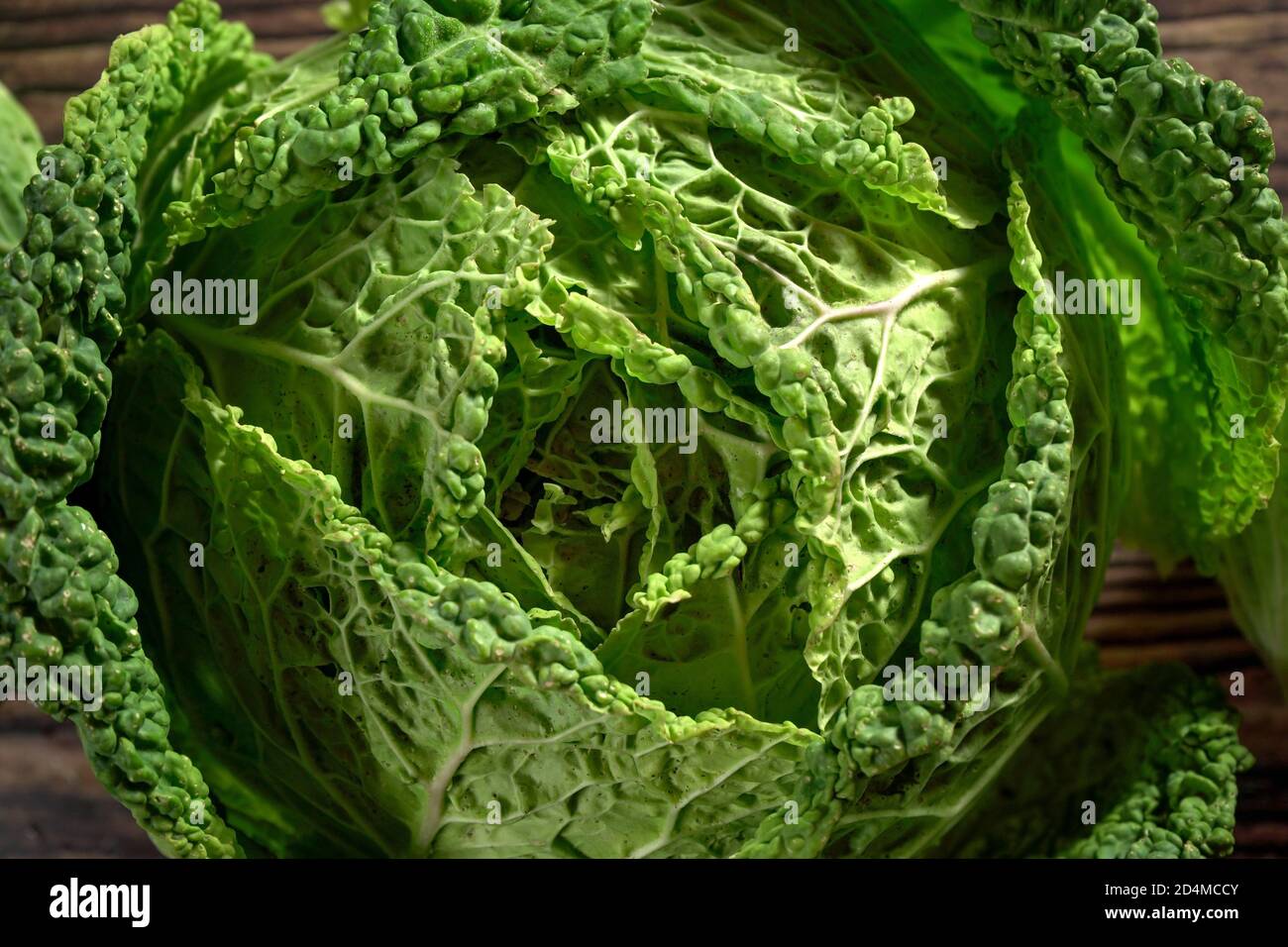 Green savoy cabbage head Closeup from above Stock Photo Alamy