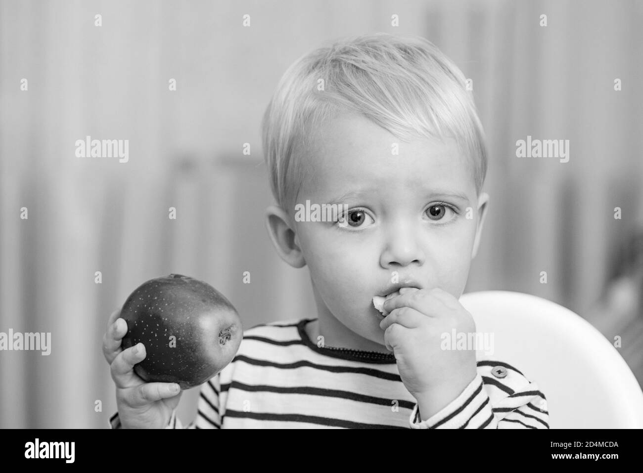 Baby nutrition. Eat healthy. Toddler having snack at home. Child eat